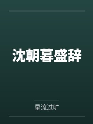 沈朝暮盛辞